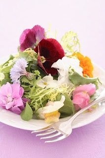 eatable flowers 7 2